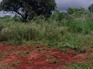 Foto 3 de SE VENDE LOTE EN APOSTOLES MISIONES