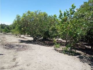 Terreno con casita en venta en Guallabamba Bello Horizonte