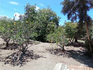 Terreno con casita en venta en Guallabamba Bello Horizonte