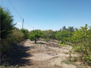 Terreno con casita en venta en Guallabamba Bello Horizonte