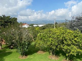 Foto 8 de Vendo Espectacular Quinta de 14500m2 en Puembo. con casa diseño Londono con piscina