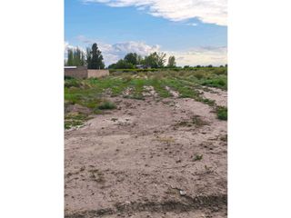 Foto 2 de VENTA DE EXTENSO LOTE EN ALGARROBO GRANDE, JUNN-MZA.