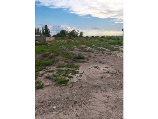 Foto 4 de VENTA DE EXTENSO LOTE EN ALGARROBO GRANDE, JUNN-MZA.