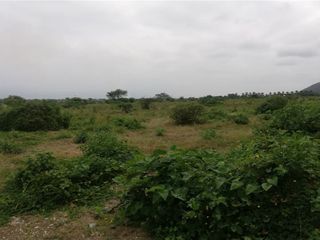 terreno agrícola urbano de venta charapoto Manabí