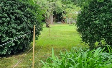 place photo 37