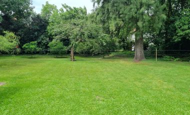 place photo 39