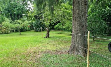 place photo 38