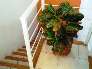 Foto 44 de Venta 2 Casas - Pancha Hernadez - Juana Koslay - San Luis