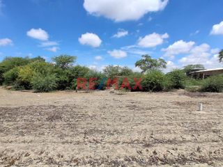 Foto 10 de 🌟 Oportunidad Única para Inversionistas e Industriales 🌟

📍 Ubicación Privilegiada:(Sublote A del Predio Monte Sullon, Vega Chato - Catacaos, Piura)