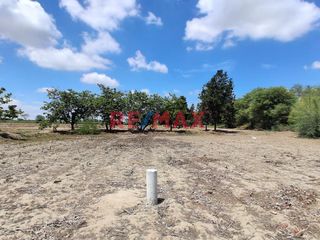 Foto 6 de 🌟 Oportunidad Única para Inversionistas e Industriales 🌟

📍 Ubicación Privilegiada:(Sublote A del Predio Monte Sullon, Vega Chato - Catacaos, Piura)