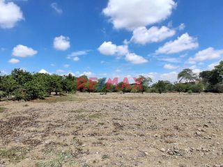 Foto 8 de 🌟 Oportunidad Única para Inversionistas e Industriales 🌟

📍 Ubicación Privilegiada:(Sublote A del Predio Monte Sullon, Vega Chato - Catacaos, Piura)