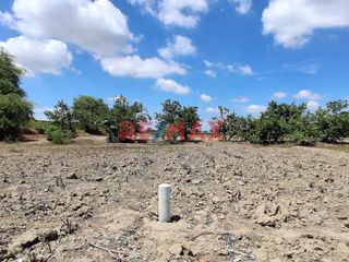 Foto 7 de 🌟 Oportunidad Única para Inversionistas e Industriales 🌟

📍 Ubicación Privilegiada:(Sublote A del Predio Monte Sullon, Vega Chato - Catacaos, Piura)