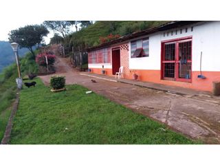FINCA en VENTA en Caicedonia  Valle del Cauca