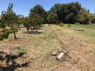 Foto 19 de finca de 5500 m2 de plantacion de duraznos y casa de 120 m2 y galpon en Spinelli 751, El Cerrito