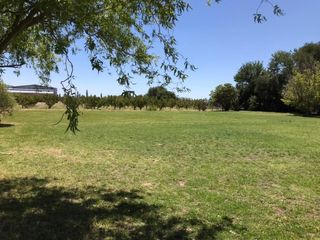 Foto 7 de finca de 5500 m2 de plantacion de duraznos y casa de 120 m2 y galpon en Spinelli 751, El Cerrito