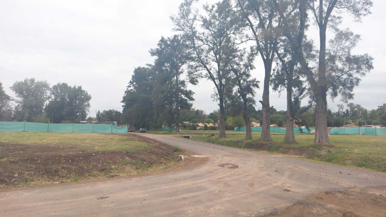 place photo 27