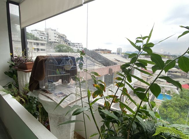 place photo 33
