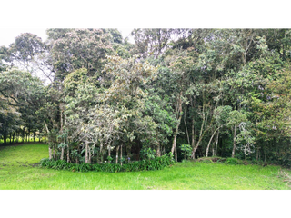 Lote Plano  con bosque nativo   en Santa Elena sector el plan