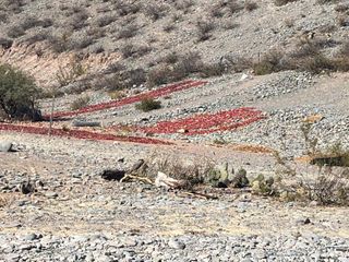 Foto 4 de Terreno - Cachi