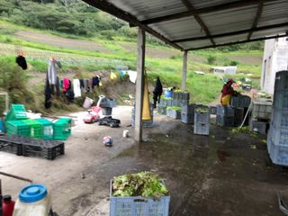 Finca Agrícola de Venta en San Antonio de Pichincha - Tanlahua (Sector Mitad del Mundo)