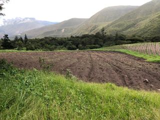 Finca Agrícola de Venta en San Antonio de Pichincha - Tanlahua (Sector Mitad del Mundo)
