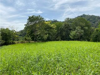 Foto 7 de Venta de lotes Suroeste Ciudad Bolívar -Antioquia