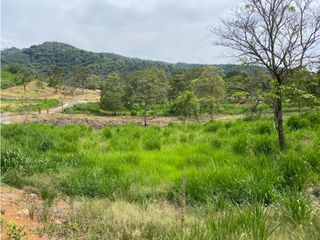 Foto 3 de Venta de lotes Suroeste Ciudad Bolívar -Antioquia