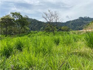 Foto 9 de Venta de lotes Suroeste Ciudad Bolívar -Antioquia