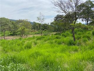 Foto 6 de Venta de lotes Suroeste Ciudad Bolívar -Antioquia