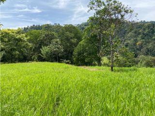 Foto 8 de Venta de lotes Suroeste Ciudad Bolívar -Antioquia