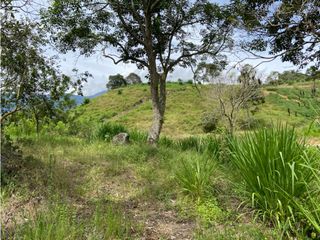 Foto 10 de Venta de lotes Suroeste Ciudad Bolívar -Antioquia