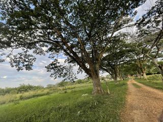 FINCA en VENTA en Jamundí potrerito