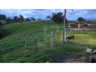 Foto 1 de VENDO FINCA GANADERA 15 HECTAREAS CON CASA GRANDE EN CAJIBIO