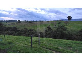 Foto 2 de VENDO FINCA GANADERA 15 HECTAREAS CON CASA GRANDE EN CAJIBIO
