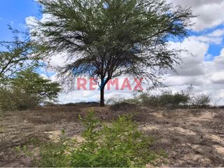Foto 4 de 🔎¿Buscas un terreno amplio, bien ubicado y con gran proyección comercial o industrial? ¡Esta es tu oportunidad!

💡Ubicado en la Vía de Evitamiento E