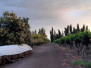 Foto 4 de HERMOSA FINCA CON CASA EN VENTA