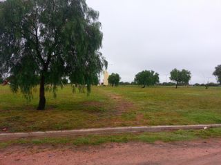 Foto 7 de Venta de Casa en Los Lapachos (La Punta)
