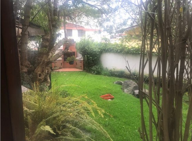 place photo 27