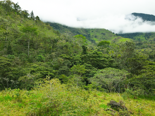 Fauna tropical, arroyos y estanques en 13 hectáreas