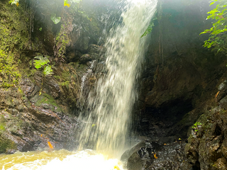 Espectacular Joya: exuberante reserva natural con cascadas y más