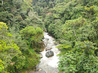 Espectacular Joya: exuberante reserva natural con cascadas y más