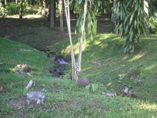 Foto 1 de EXCELENTE OPORTUNIDAD DE INVERSIÓN EN PUERTO RICO, MNES.