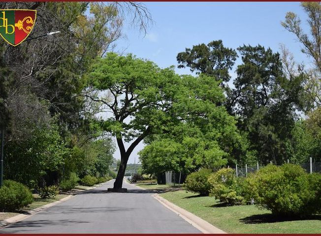 place photo 43