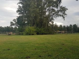 Foto 11 de Terreno - Estancia Las Malvinas