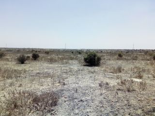 Foto 2 de Terreno Rustico en VENTA, 600 Has, Piura
