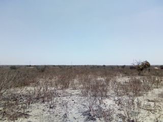 Foto 4 de Terreno Rustico en VENTA, 600 Has, Piura