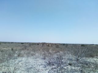 Foto 3 de Terreno Rustico en VENTA, 600 Has, Piura