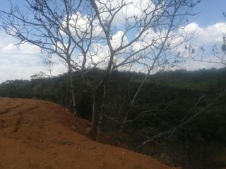 Foto 2 de lote en venta en pance. Cod V9408