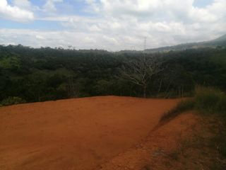 Foto 5 de lote en venta en pance. Cod V9408