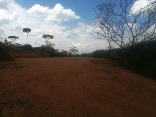 Foto 6 de lote en venta en pance. Cod V9408